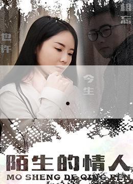 不二神探粤语版剧情介绍,不二神探是在香港拍的吗